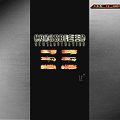 Crossbreed (USA) : New Slave Nation